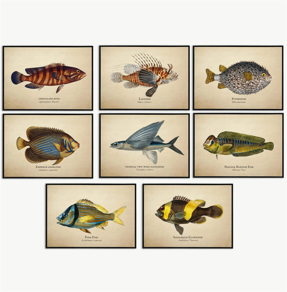 Marine Aquarium Home - Vintage Bilder Tropische Fische Quallen Muscheln