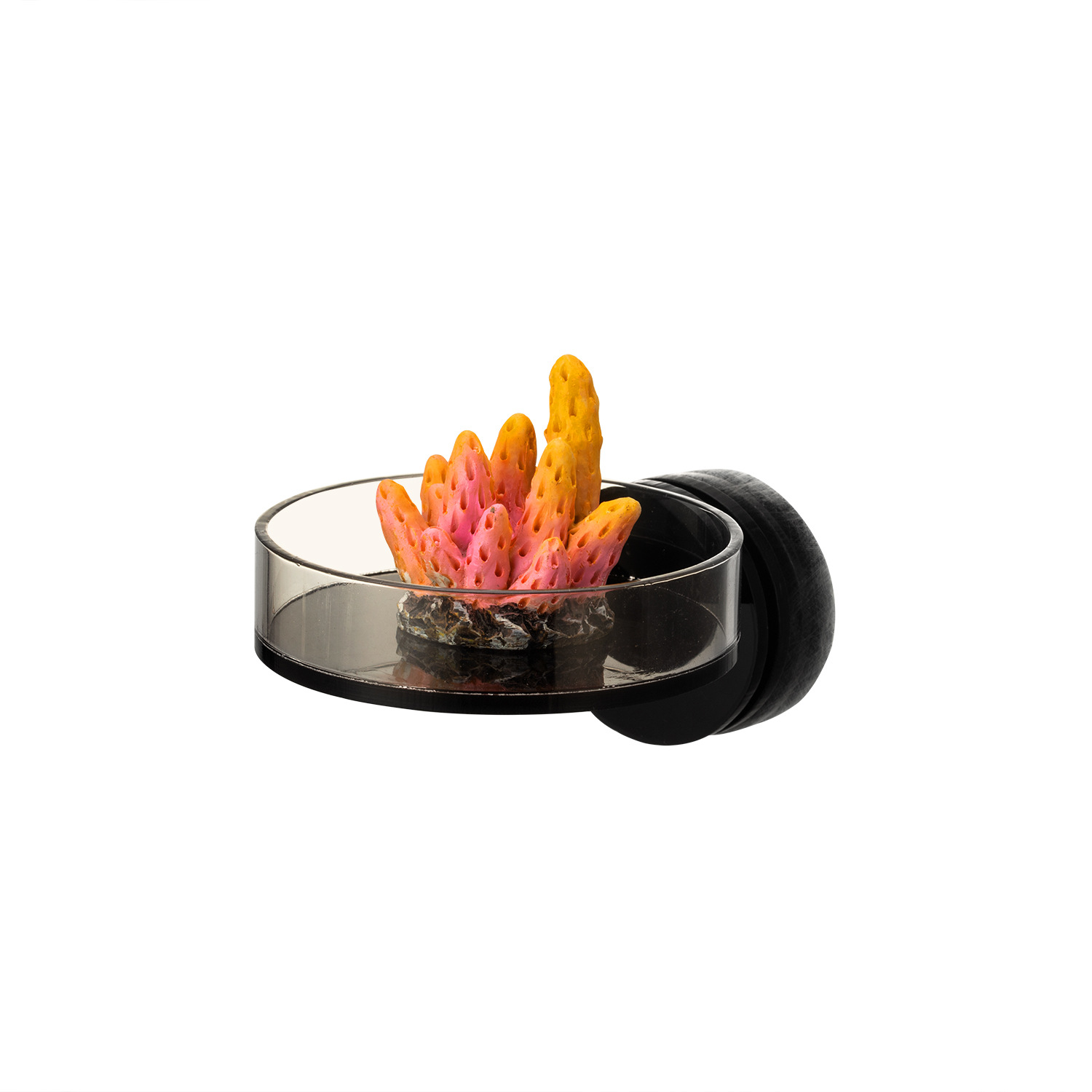 Aquarium And Marine - Marine Sources 70 mm schwarzes magnetisches