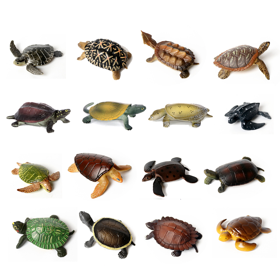 Aquarium Marine Fishes - Realistische Miniaturen Meeres leben Meeres schildkröte