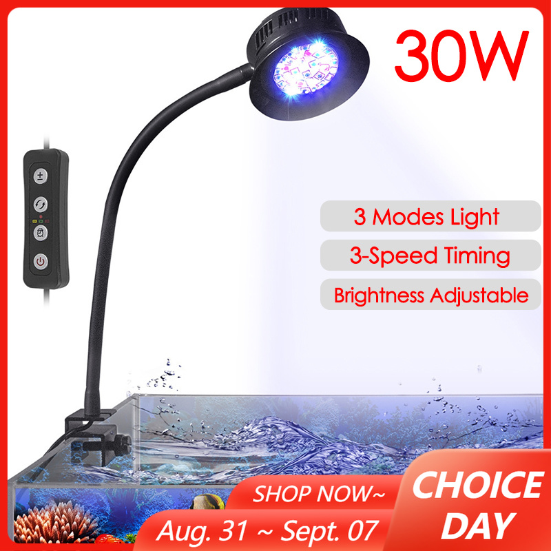 30 W Aquarium Aquarium Meer Wa – Aquarium Marine Fishes Bewertung und Preis