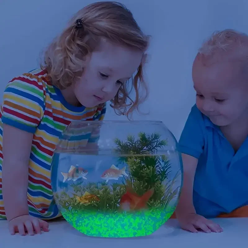 1000 Stück 3–5 mm leuchtender  – Aquarium Marine Fish Bewertung und Preis