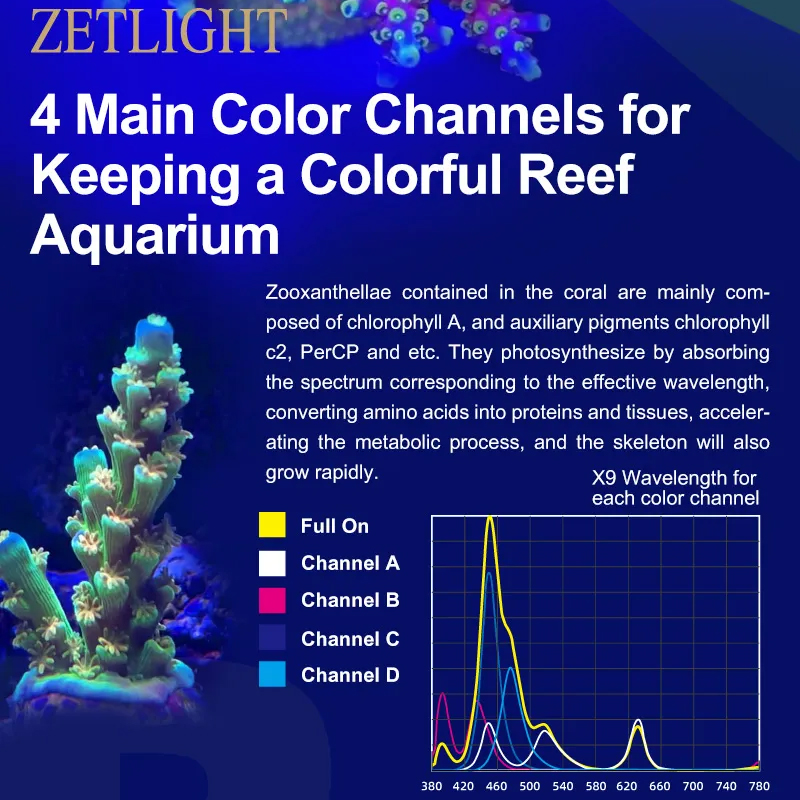 ZETLIGHT X9 96W Vollspektrum W – Aquarium Marine Fishes Bewertung und Preis