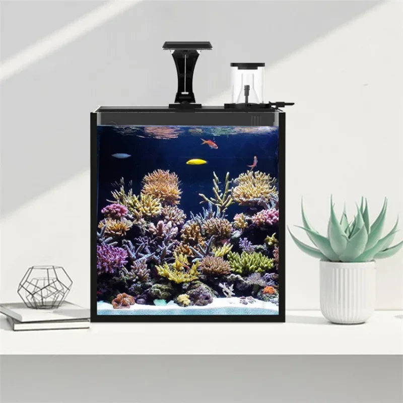 Meistverkauftes Ultra-Klares G – Marine Aquarium Tank For Sale Bewertung und Preis