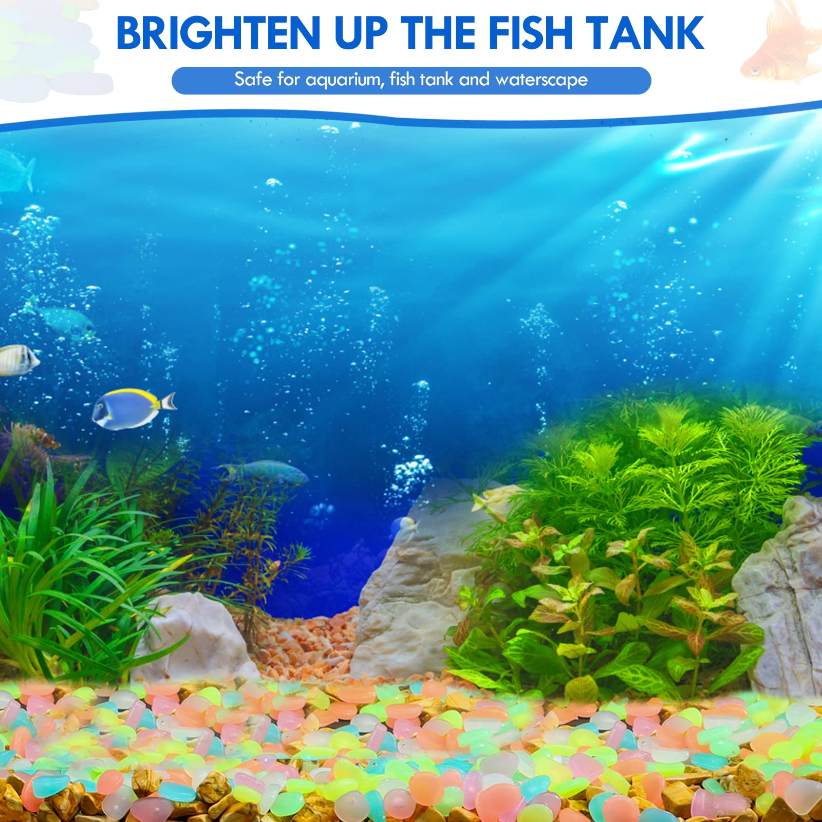 100 Stück im Dunkeln leuchtend – Aquarium Marine Fish Bewertung und Preis