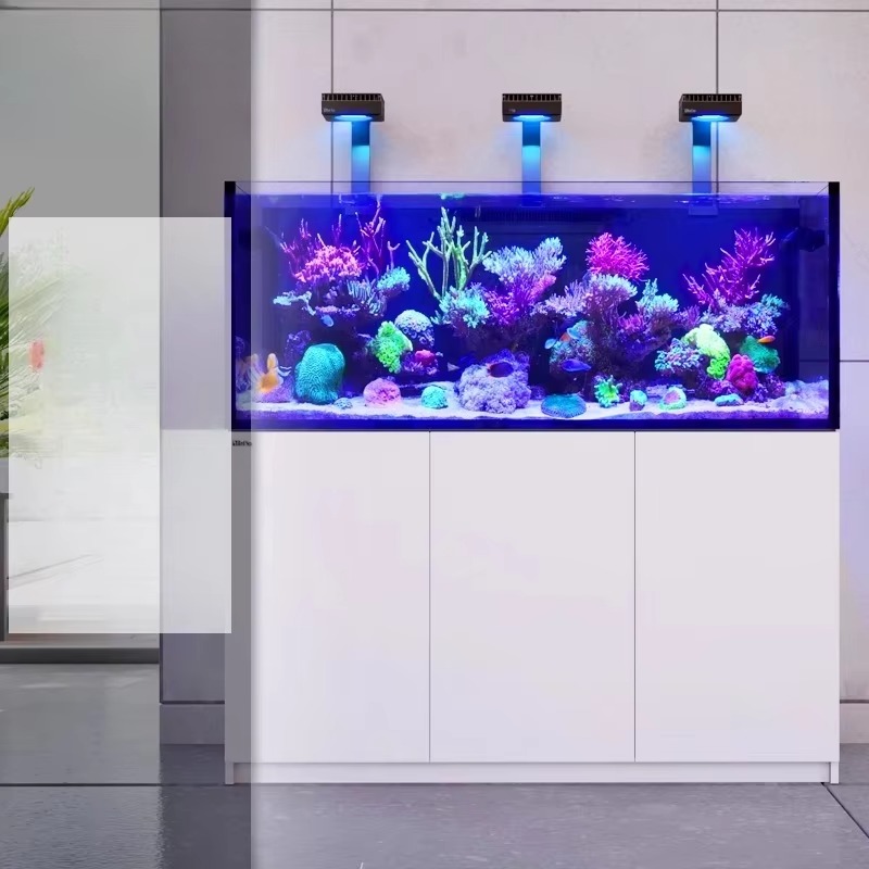 Aquariumzubehör Hochwertiges r – Aquarium Marine Setup Bewertung und Preis