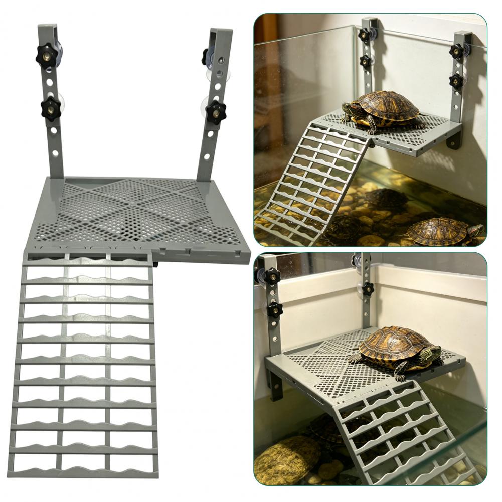 Aquarium-Dekoration: Feste Hän – Aquarium Marine Fish Bewertung und Preis
