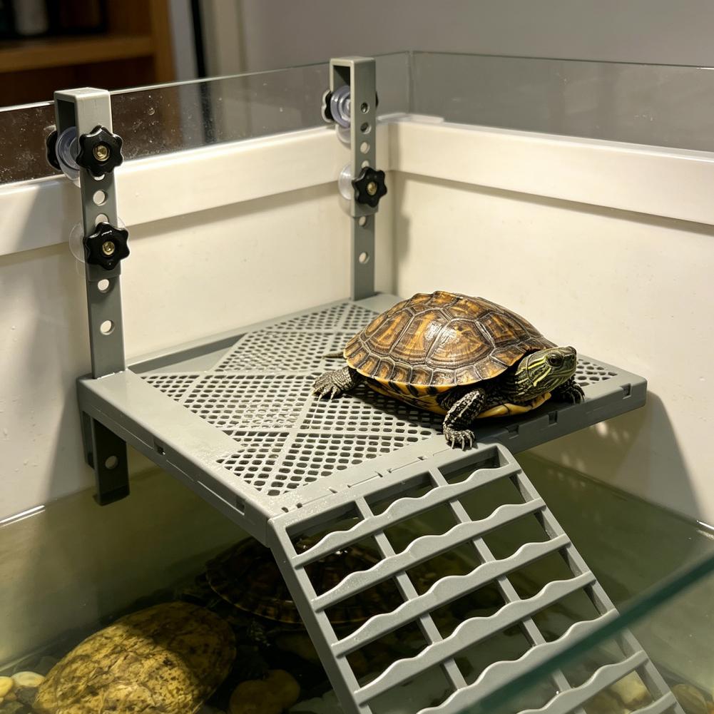 Aquarium-Dekoration: Feste Hän – Aquarium Marine Fish Bewertung und Preis