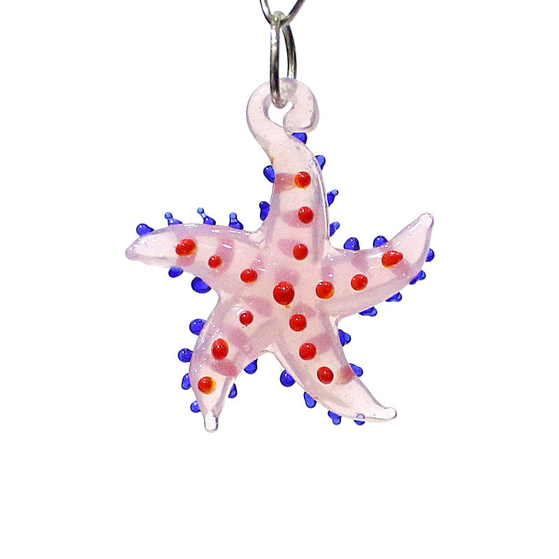 Niedliche meeres tiere Seester – Aquarium And Marine Bewertung und Preis